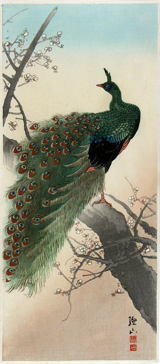 Degener Japanese Fine Prints - Birds and Flowers prints - kacho-e